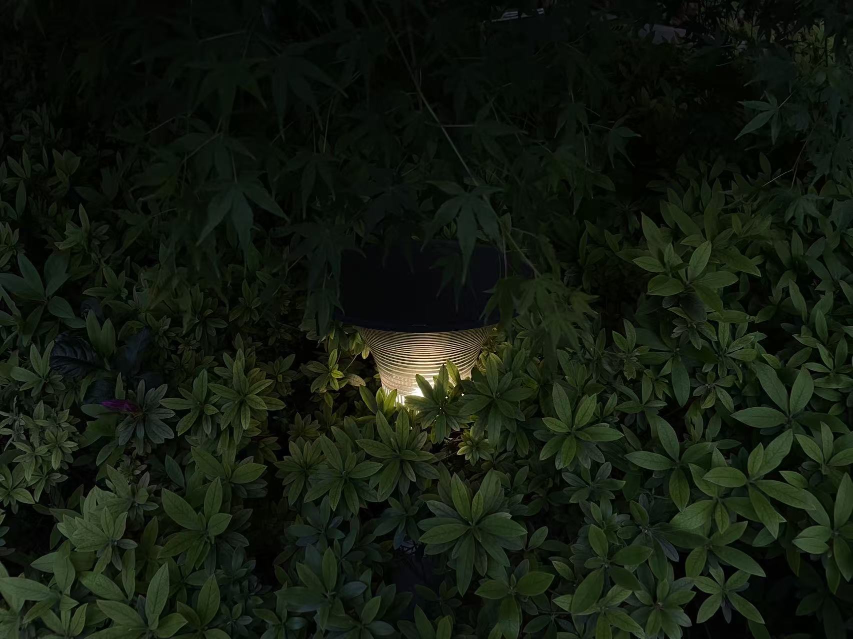 Chinese Government Scholorship High Lever Postgraduate Program